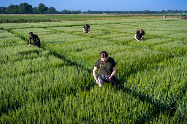 fieldwork43 full res