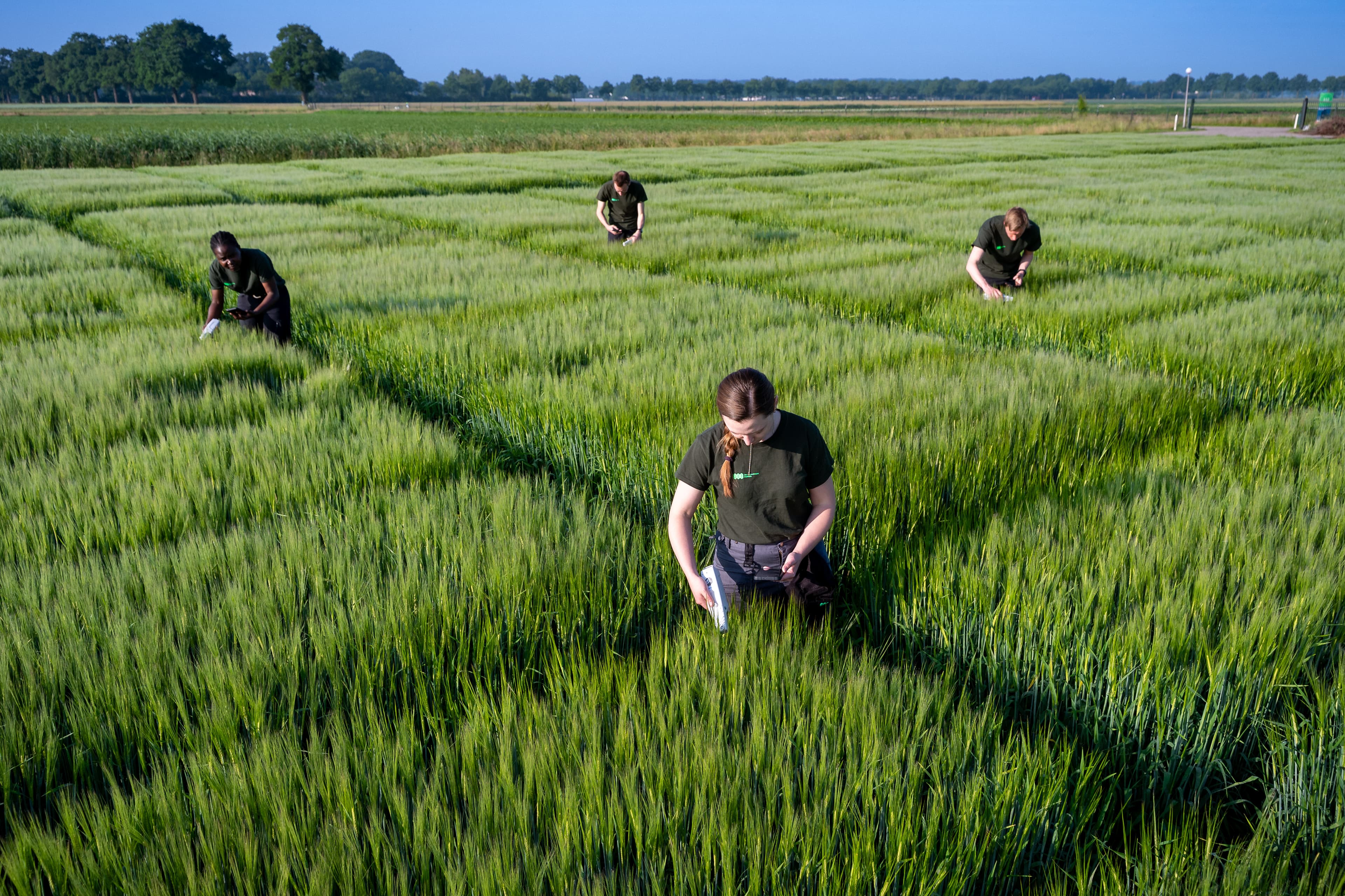 fieldwork43 full res